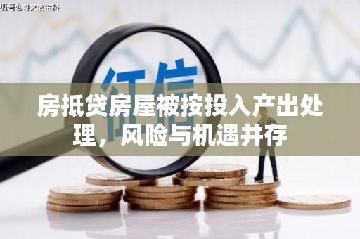 贵池房抵贷房屋被按投入产出处理，风险与机遇并存